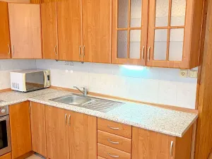 Pronájem bytu 4+1, Mladá Boleslav, Erbenova, 79 m2