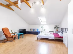 Pronájem bytu 1+1, Brno, Spolková, 41 m2