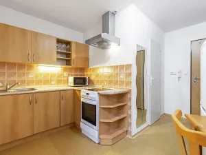 Pronájem bytu 1+1, Brno, Spolková, 41 m2