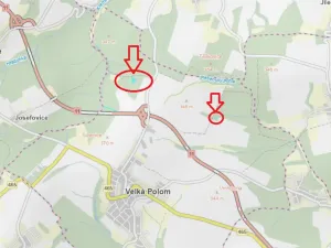 Prodej lesa, Velká Polom, 3922 m2