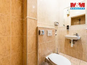 Pronájem bytu 2+kk, Plzeň - Vnitřní Město, Zbrojnická, 80 m2