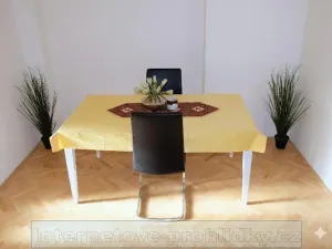 Pronájem pokoje, Praha - Břevnov, Bělohorská, 20 m2