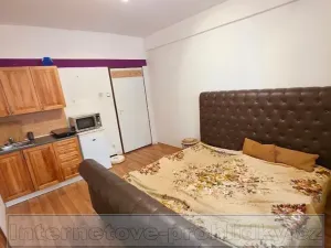 Pronájem pokoje, Praha - Holešovice, Bubenská, 16 m2