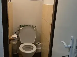 Pronájem pokoje, Praha - Holešovice, Bubenská, 16 m2