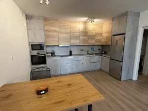 Pronájem bytu 2+kk, Brno, Placzkova, 59 m2