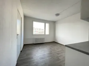 Pronájem bytu 1+1, Litvínov, Rooseveltova, 34 m2