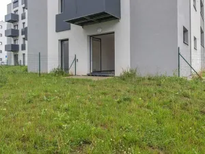 Prodej bytu 1+kk, Heřmanova Huť, U Pondu, 35 m2