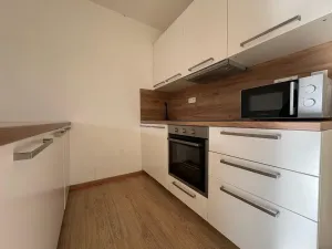 Pronájem bytu 1+kk, Slaný, Lázeňská, 35 m2