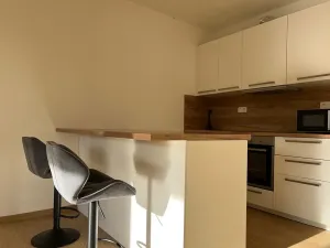 Pronájem bytu 1+kk, Slaný, Lázeňská, 35 m2