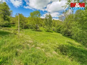 Prodej zahrady, Sušice - Nuzerov, 7751 m2