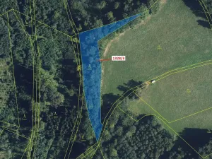 Dražba lesa, Kladky, 3057 m2