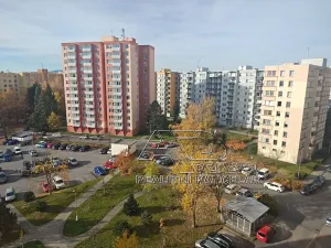 Prodej bytu 4+1, České Budějovice, Netolická, 85 m2