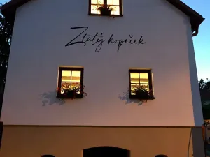 Prodej vinného sklepa, Čejkovice, 66 m2