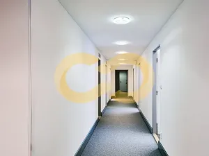 Pronájem kanceláře, Písek, Alšovo nám., 200 m2