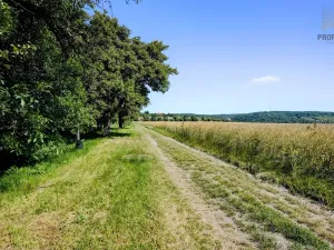 Prodej pozemku pro bydlení, Viničné Šumice, 1156 m2