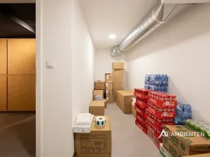 Prodej obchodního prostoru, Brno, Masarykova, 494 m2