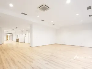 Prodej obchodního prostoru, Brno, Masarykova, 494 m2