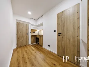 Pronájem bytu 1+kk, Prostějov, Kotěrova, 28 m2