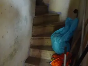 Prodej rodinného domu, Plasy, 63 m2