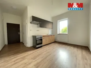 Pronájem bytu 2+1, Chomutov, Šafaříkova, 55 m2