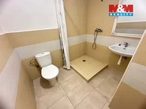 Pronájem rodinného domu, Dobrovice, Komenského, 20 m2