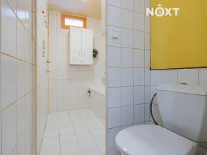 Prodej bytu 2+1, Český Krumlov, Sídliště Plešivec, 57 m2