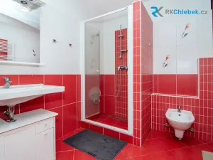 Prodej rodinného domu, Brumovice, Za Humny, 160 m2