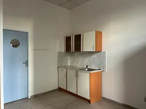 Pronájem bytu 1+kk, Ústí nad Labem, Moskevská, 16 m2