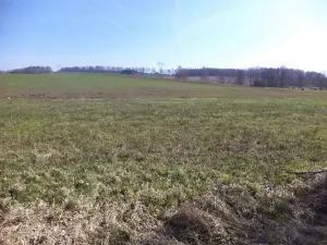 Dražba louky, Dolní Pěna, 4291 m2