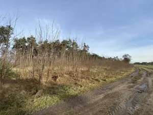 Prodej lesa, Kostelní Lhota, 9438 m2