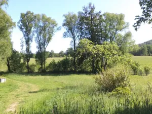 Prodej pozemku, Staré Křečany, 2931 m2