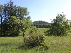 Prodej pozemku, Staré Křečany, 2931 m2