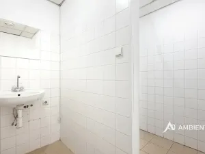 Pronájem obchodního prostoru, Brno, Masarykova, 176 m2