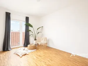 Prodej bytu 6+kk a větší, Brno, Čápkova, 209 m2