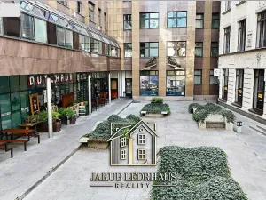 Pronájem kanceláře, Praha - Nové Město, Vladislavova, 974 m2