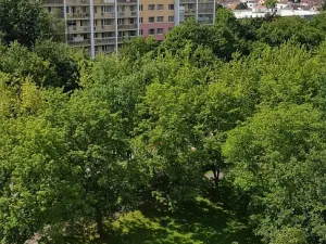 Pronájem bytu 2+1, Pardubice - Polabiny, kpt. Bartoše, 46 m2