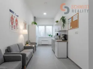 Pronájem ordinace, Břeclav, U Nemocnice, 234 m2