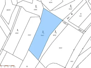 Prodej lesa, Hutisko-Solanec, 2245 m2