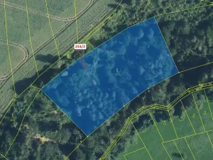 Dražba lesa, Nové Hrady, 7263 m2