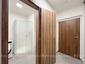 Pronájem bytu 1+kk, Pardubice, Pod Vinicí, 35 m2