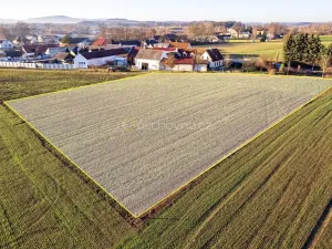 Prodej pozemku pro bydlení, Číčenice, 3500 m2
