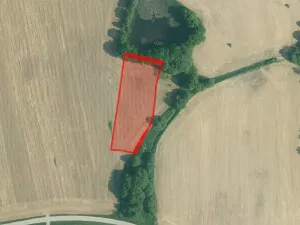 Prodej pole, Olešník, 23269 m2