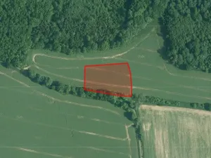 Prodej pole, Olešník, 23269 m2