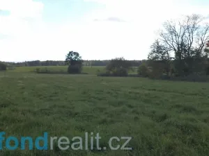 Prodej pole, Habartice, 6915 m2