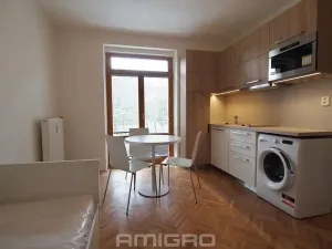 Pronájem bytu 1+kk, Brno, Obilní trh, 20 m2