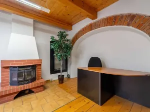 Pronájem obchodního prostoru, Přerov, Wilsonova, 265 m2