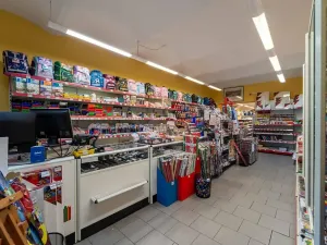 Pronájem obchodního prostoru, Přerov, Wilsonova, 265 m2