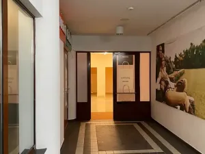 Pronájem obchodního prostoru, Karlovy Vary, Divadelní náměstí, 100 m2