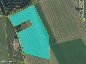 Prodej louky, Meziměstí, 47784 m2