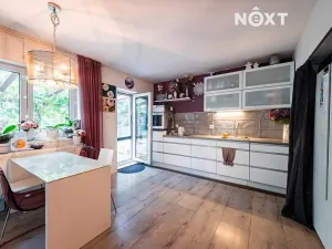 Prodej vícegeneračního domu, Přistoupim, 224 m2